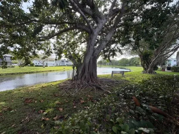 116 Lyndhurst F 116, Deerfield Beach, FL 33442