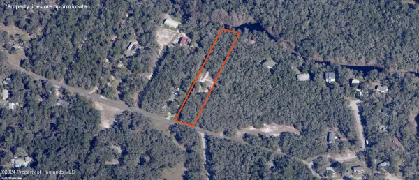 00 Cyril Drive, Ridge Manor, FL, 33523
