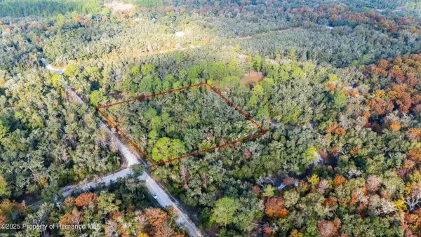 0 Rose Bloom Lot 5 Avenue, Webster, FL, 33597