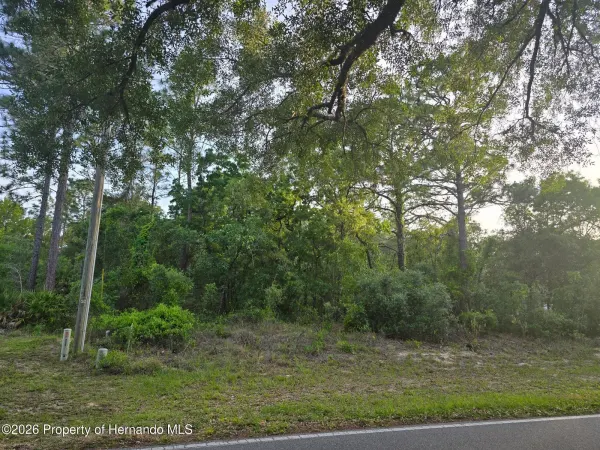 116 S Oak Village Boulevard, Homosassa, FL, 34446