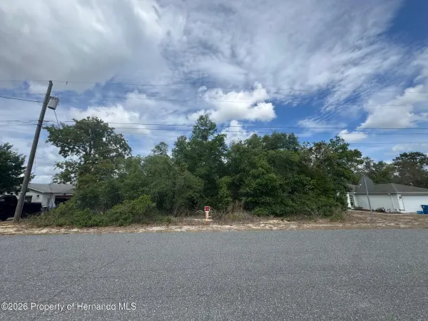 2132 Deborah Drive, Spring Hill, FL, 34609