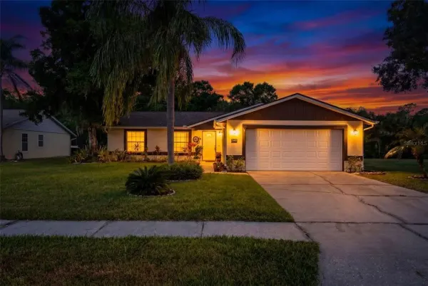 549 Longwood Circle, Oldsmar, FL, 34677