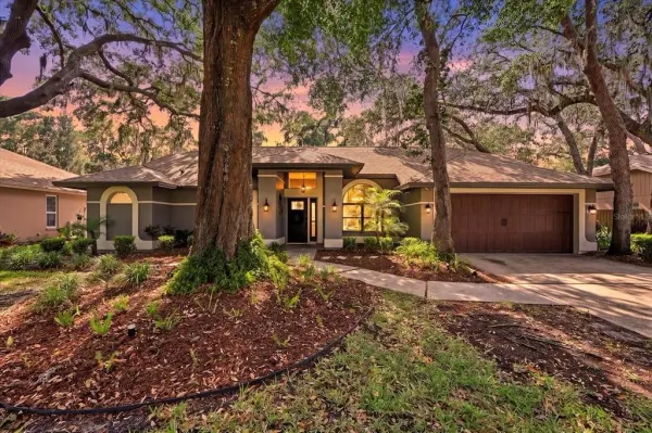 1445 Waterwood Drive, Lutz, FL, 33559