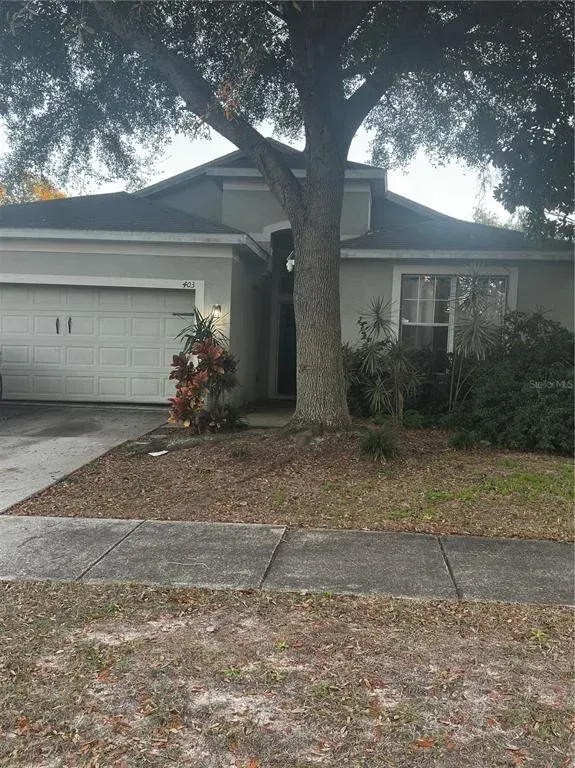 403 Thicket Crest Road, Seffner, FL, 33584