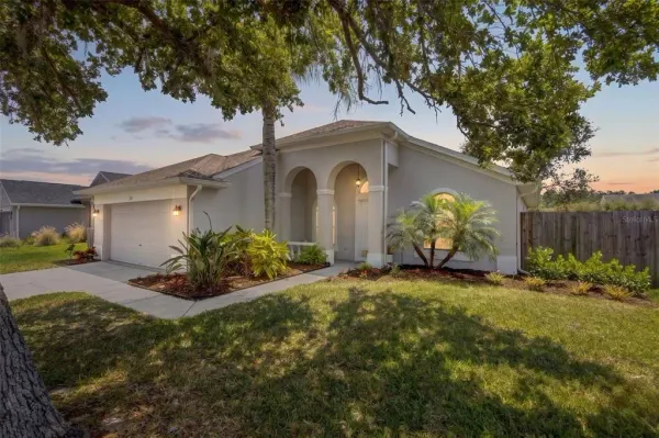 382 Fountainview Circle, Oldsmar, FL, 34677
