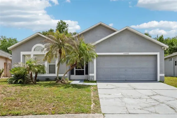 25002 Hyde Park Boulevard, Land O Lakes, FL, 34639