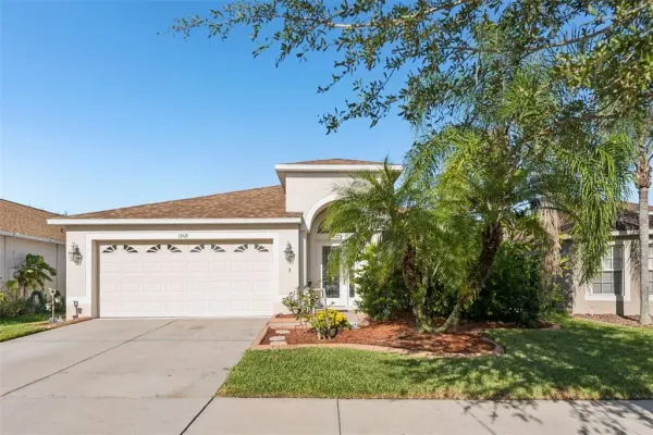 13908 Chalk Hill Place, Riverview, FL, 33579