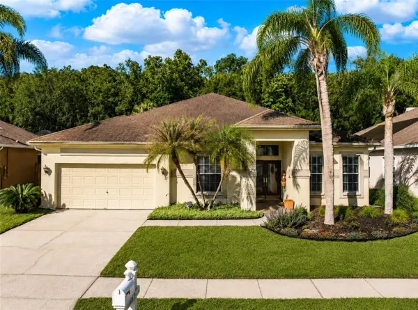 29520 Forest Glen Drive, Wesley Chapel, FL, 33543