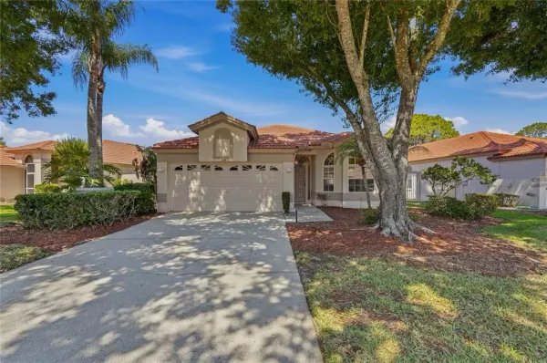 1186 Dartford Drive, Tarpon Springs, FL, 34688
