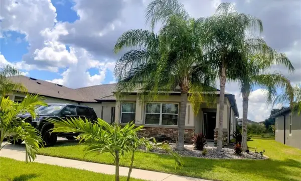 11411 Acacia Grove Lane, Riverview, FL, 33579